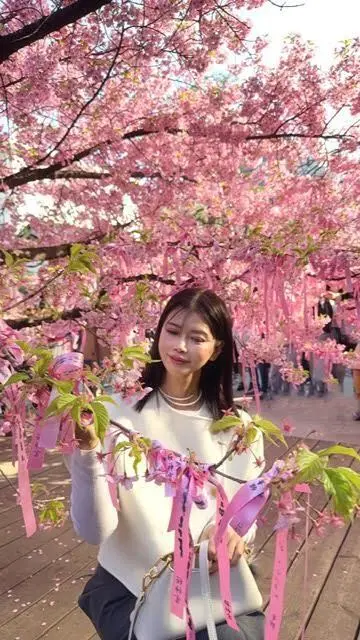 桜神宮へお花見。一足早い春を満喫の画像_4