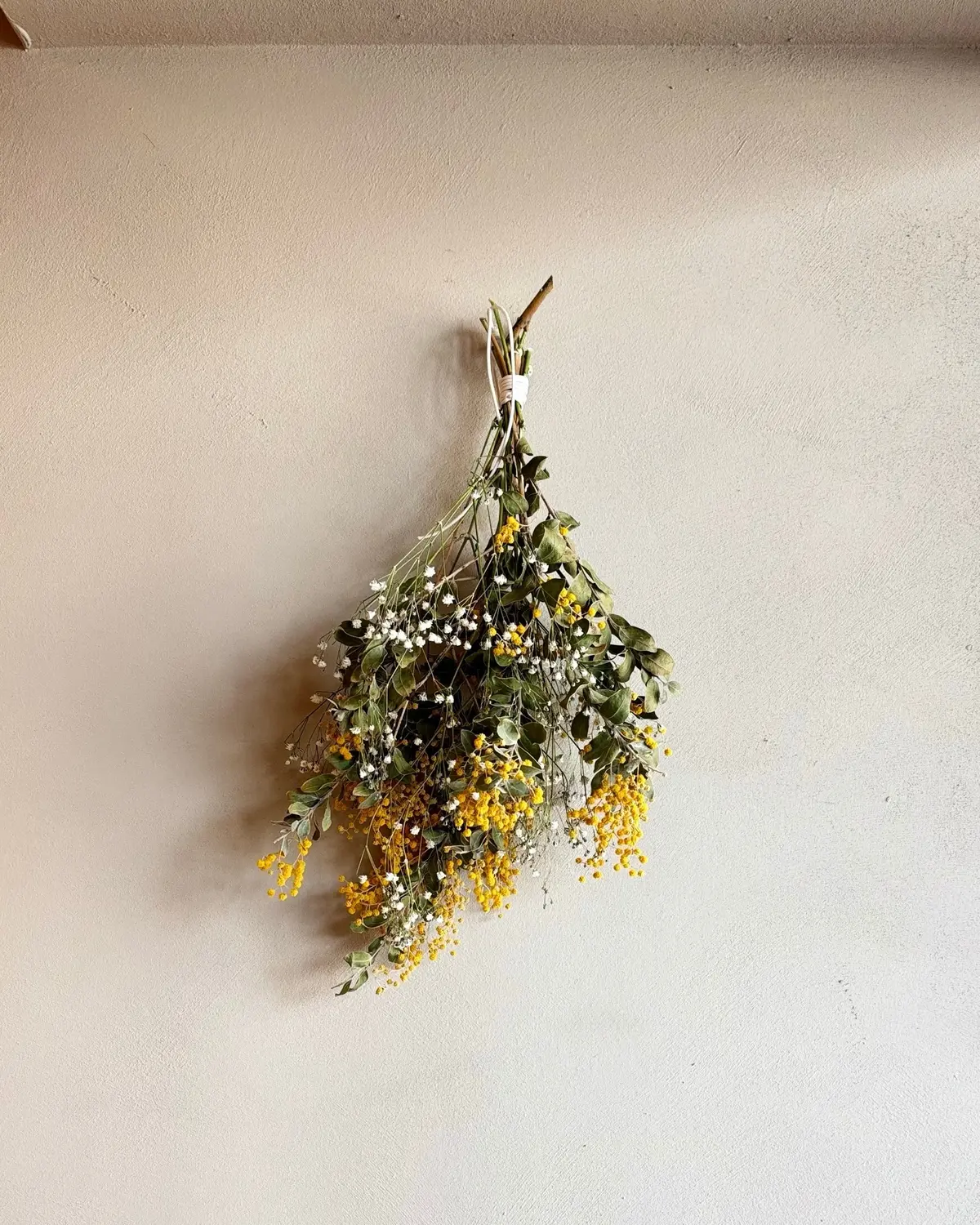 店内に飾られていたミモザ