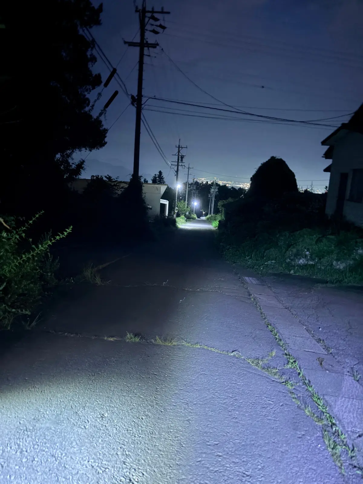 夜の住宅街の路地。路面はコンクリートで、左右に草が生えている。遠くには街の灯りが散りばめられ、電柱や電線が立ち並ぶ。