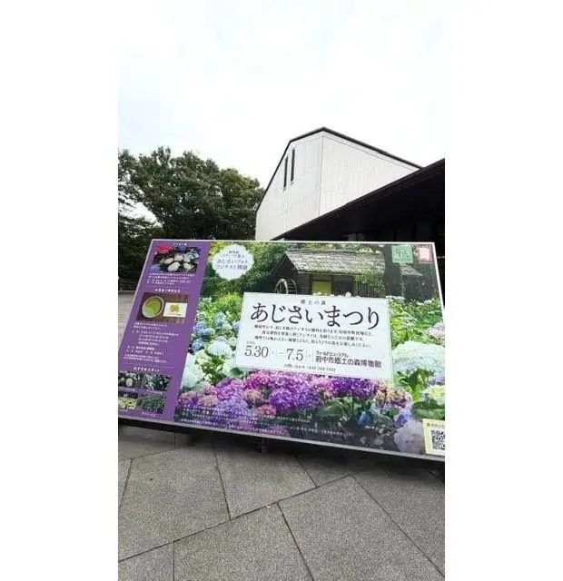 あじさいまつりポスター、紫と白のアジサイの花と建物が描かれ、5月30日から7月5日までの開催期間と入場料が記載されている