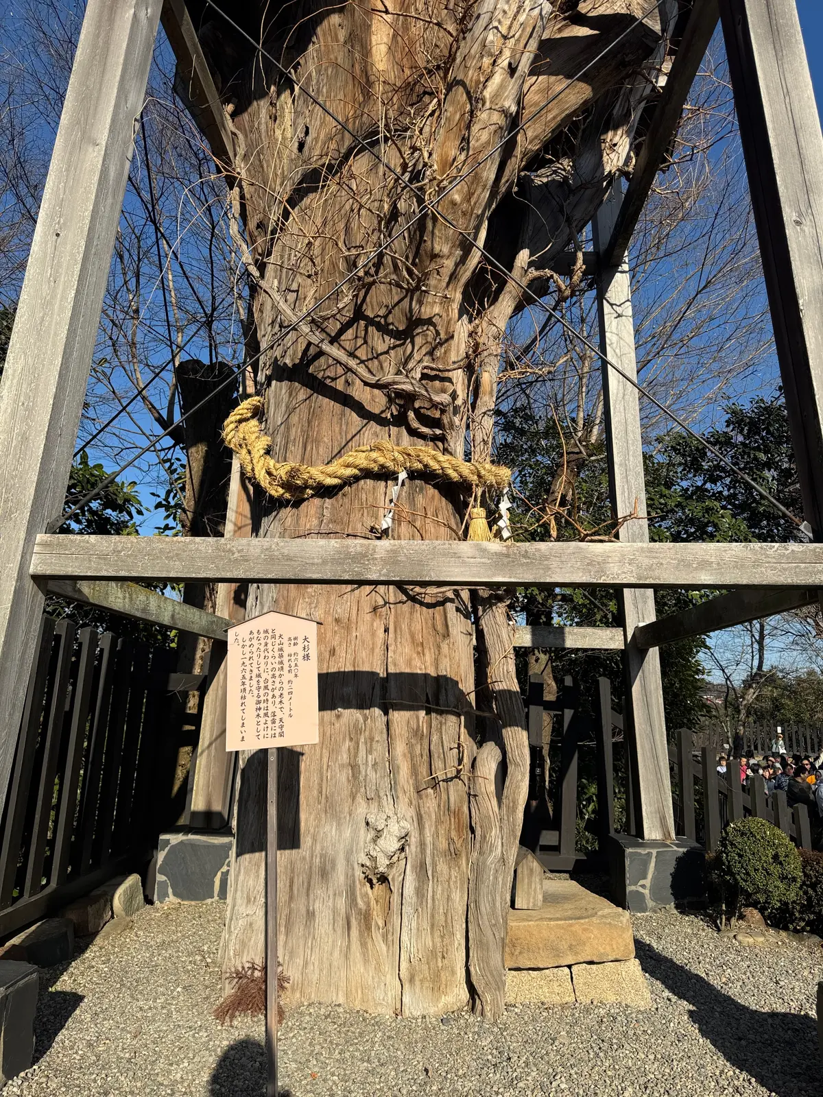武将のふるさと愛知！国宝 犬山城に行っての画像_6