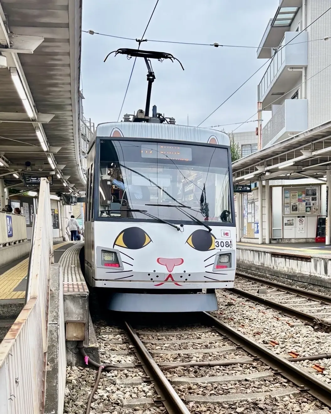幸運の招き猫電車