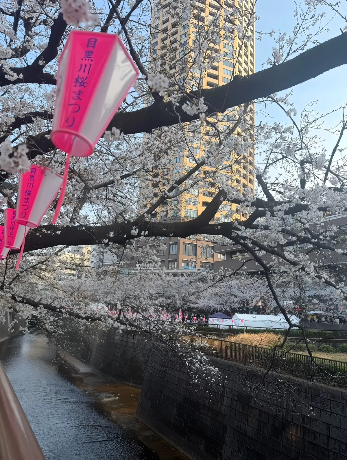 目黒川の桜名所と隠れ家カフェ　大人のリラの画像_2