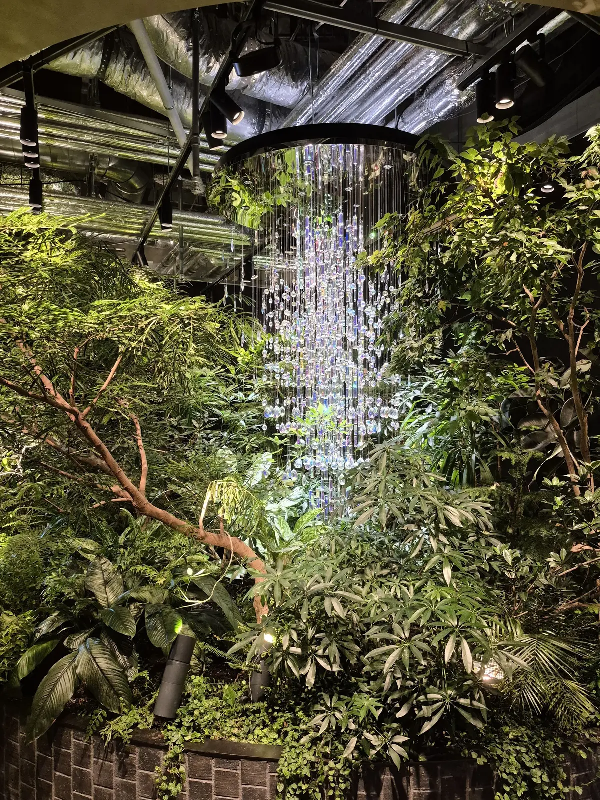 緑豊かな植物に囲まれた、クリスタルのシャンデリア。天井から吊り下げられ、光を反射して輝いている。背景には配管が露出した天井が見える。