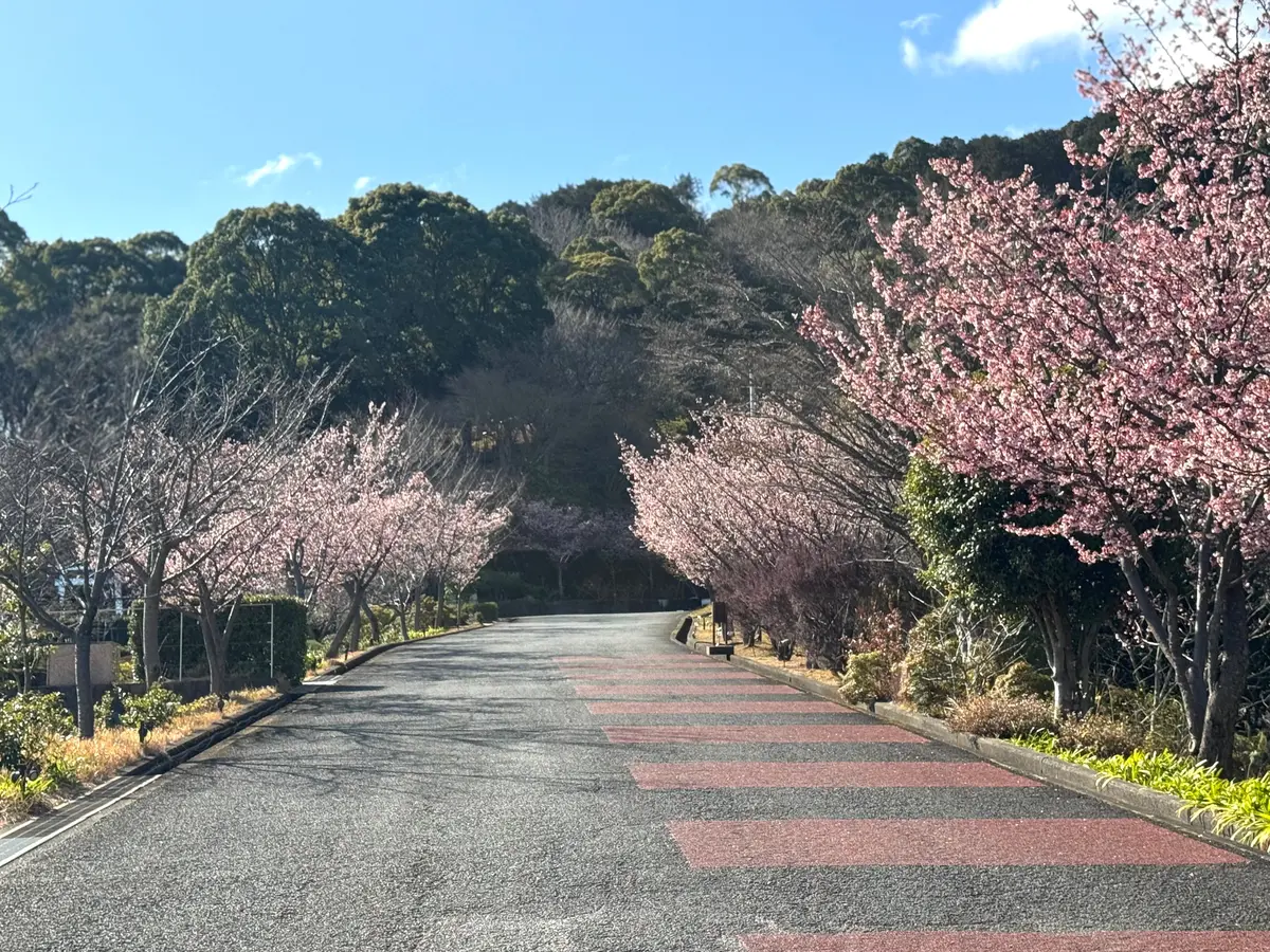 親友と弾丸熱海旅行 Vol.1 〜映えスの画像_20