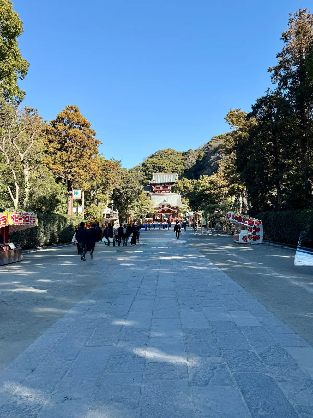鎌倉　鶴岡八幡宮　境内