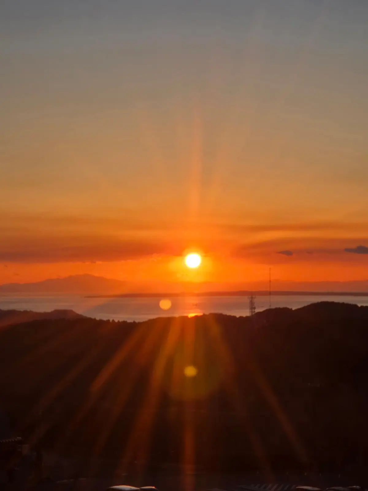 今の時期ならでは！菜の花とイルミネーショの画像_13