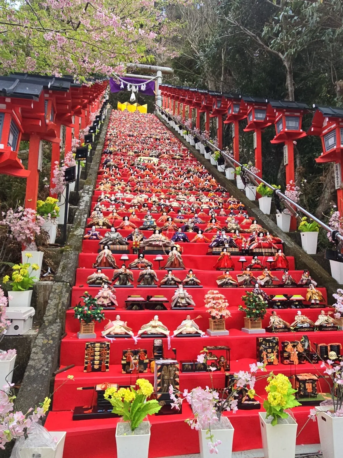 早春の房総半島鉄道旅 後編 かつうらビッの画像_9