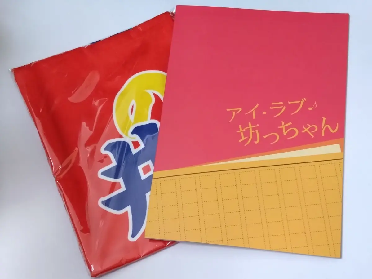 パンフレットと幟タオル