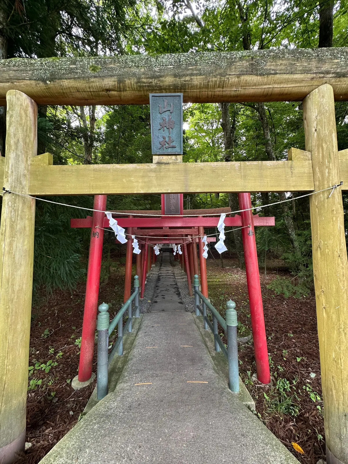 木製の鳥居が連なる参道。赤い鳥居は間隔を置いて並び、白い提灯が吊るされている。奥には緑豊かな木々が茂り、上空には大きな鳥居が見える。