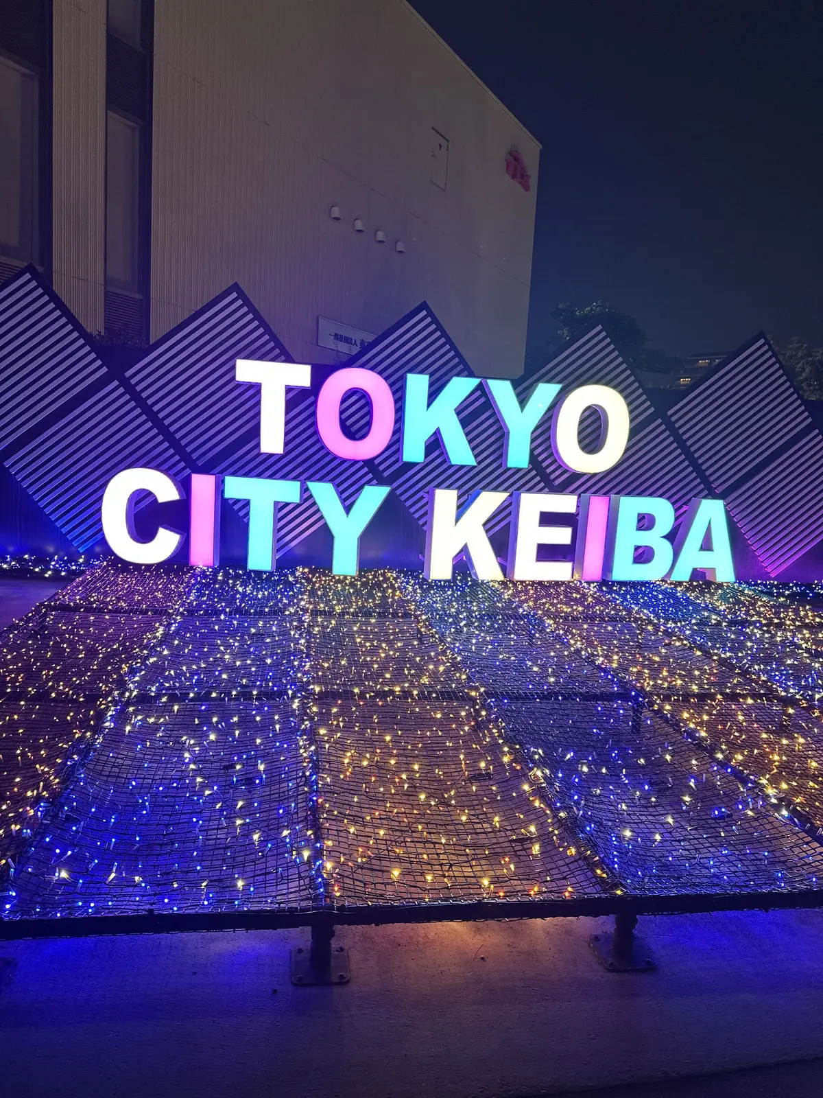 夜の東京シティ競馬場前のイルミネーション。カラフルなLEDライトで「TOKYO CITY KEIBA」の文字が浮かび上がり、周囲は青と紫の光で輝くネット状の装飾が広がっている。