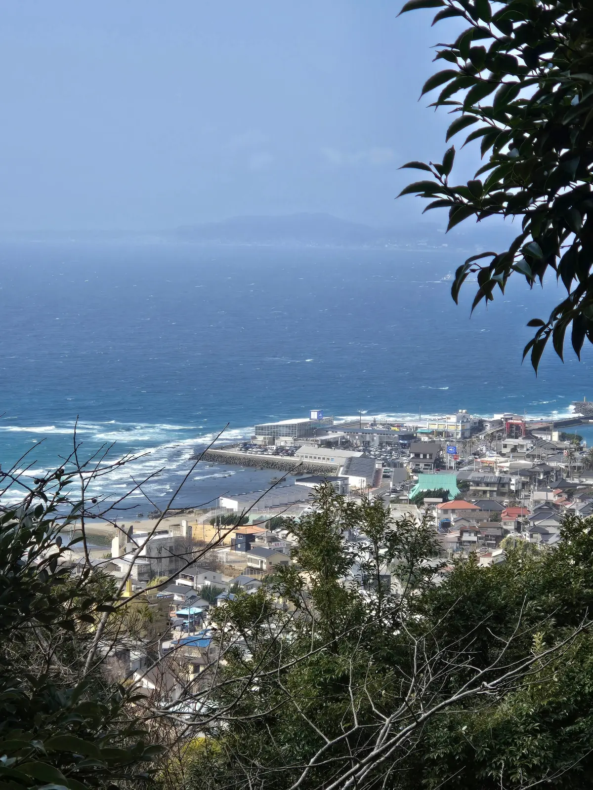 早春の房総半島鉄道旅 前編 目指せ鋸山!の画像_18