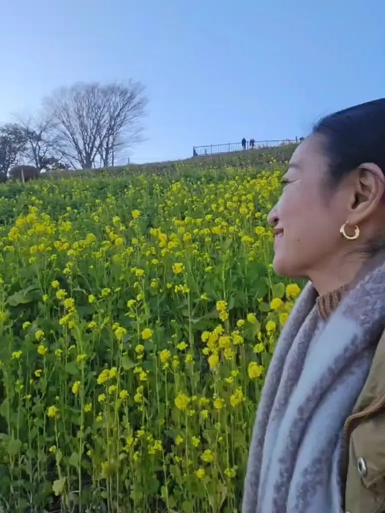 今の時期ならでは！菜の花とイルミネーショの画像_10