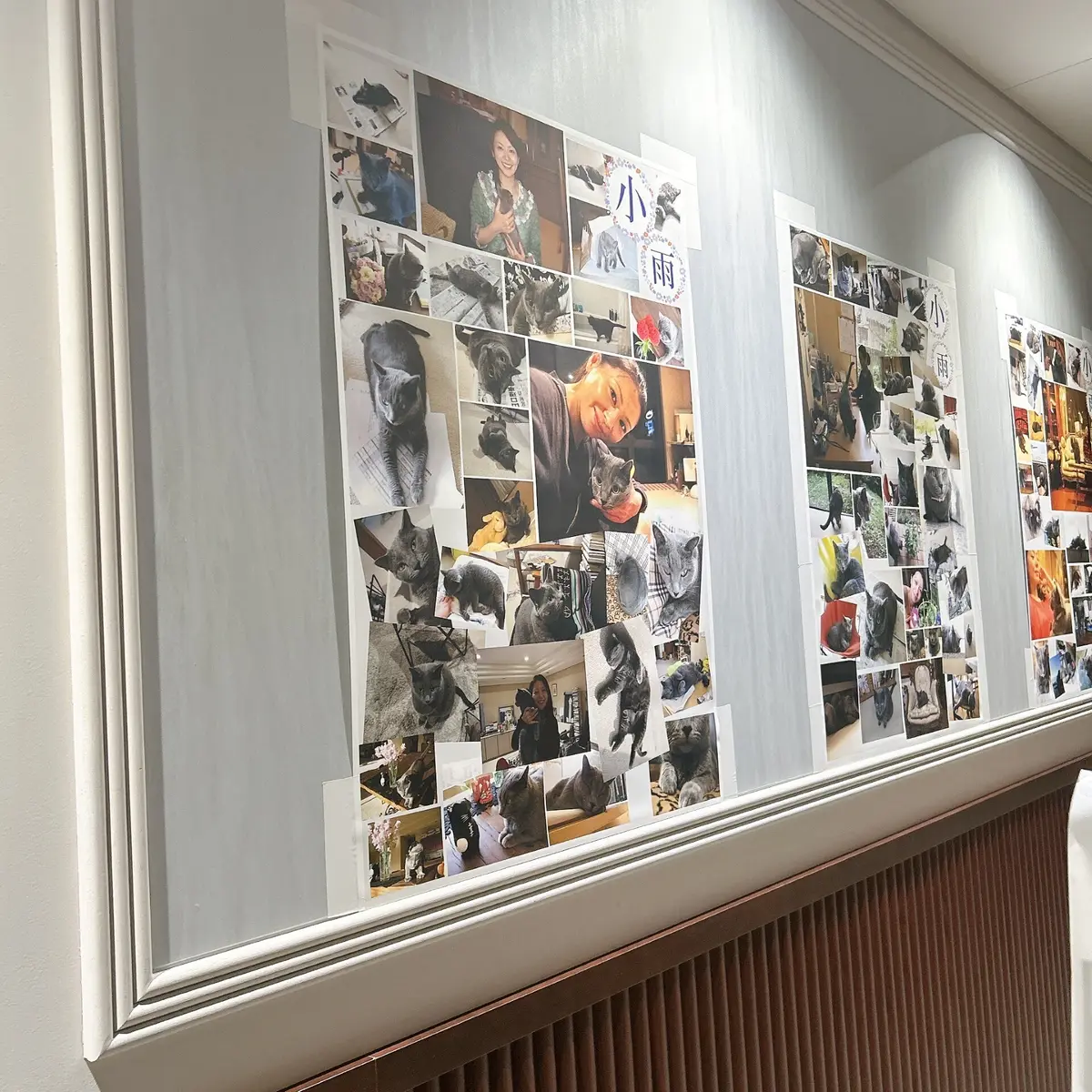 小泉今日子　小雨日記　トークショー　会場風景