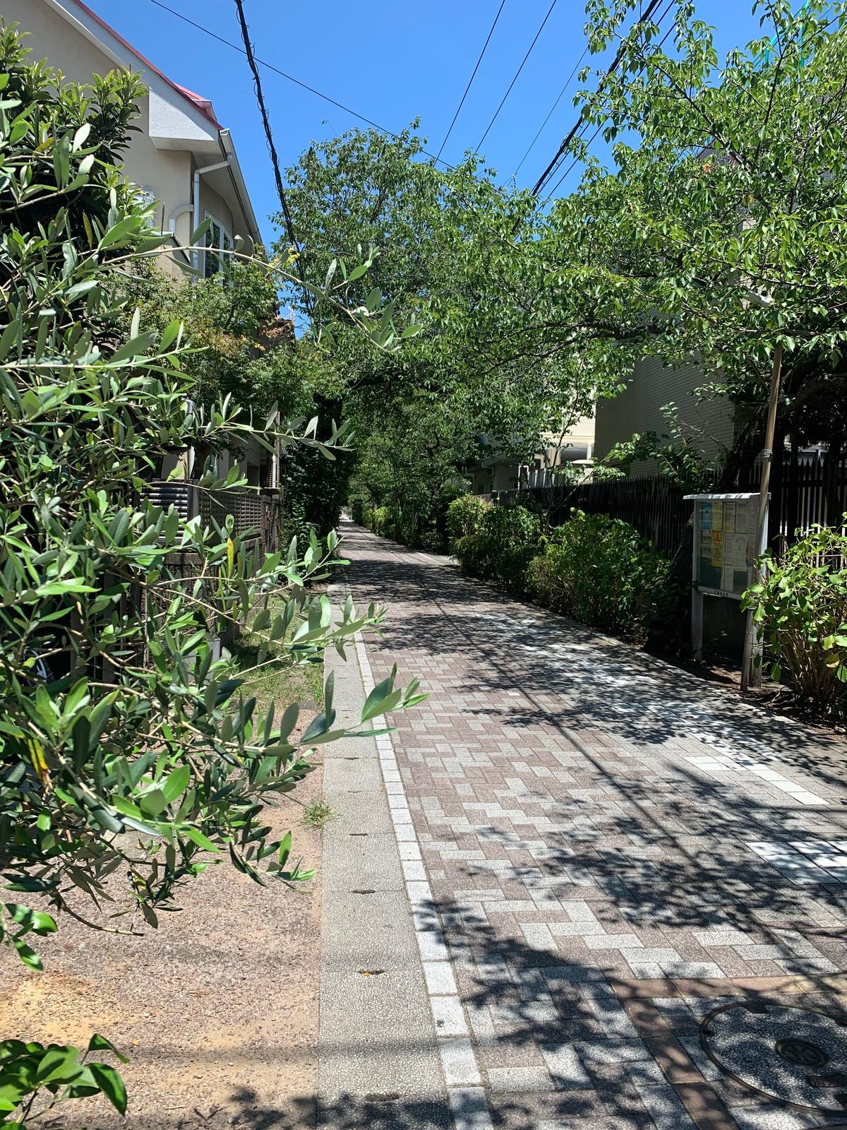緑豊かな木々が両側に茂る、細い道。道の両脇には砂利とレンガの歩道があり、太陽光が木漏れ日となって照らしている。背景には住宅が見える。