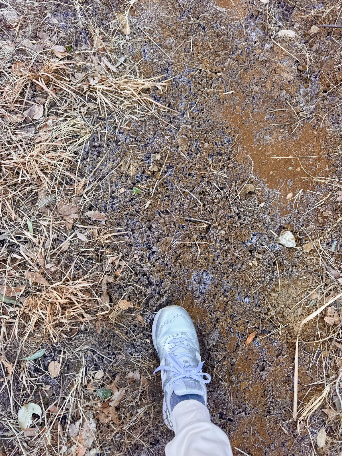 ユニクロのカシミヤ小物が主役！冬のお散歩の画像_5