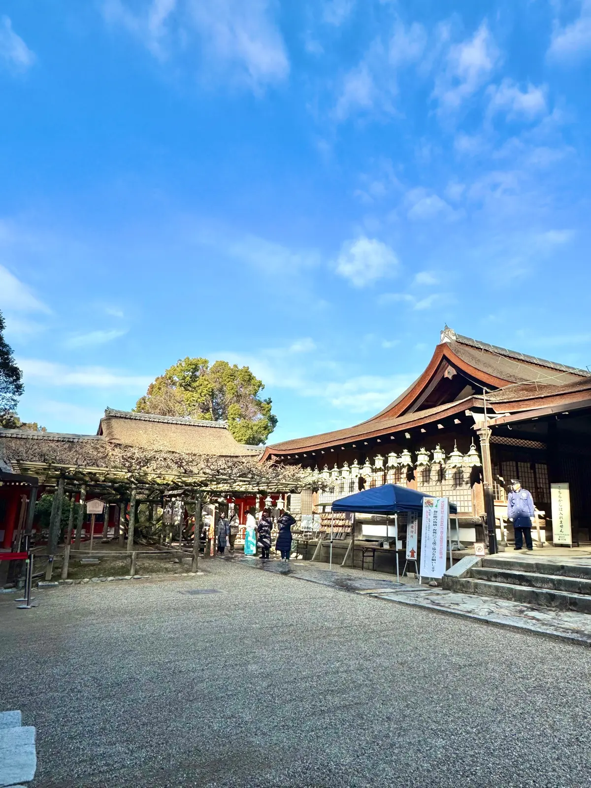 美味いもん＆御朱印を求めて母娘弾丸2人旅の画像_8