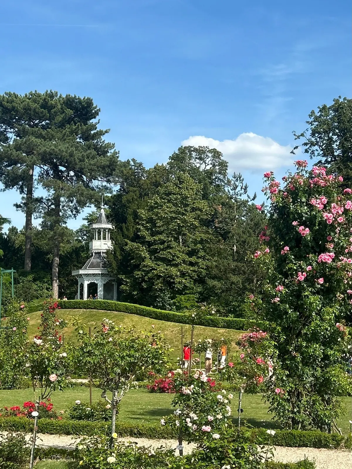 パリ旅行  パリ観光  パリ散歩  フランス旅行  パリ観光　パリ絶景　バガテル公園  ブローニュの森  薔薇園  ローズガーデン