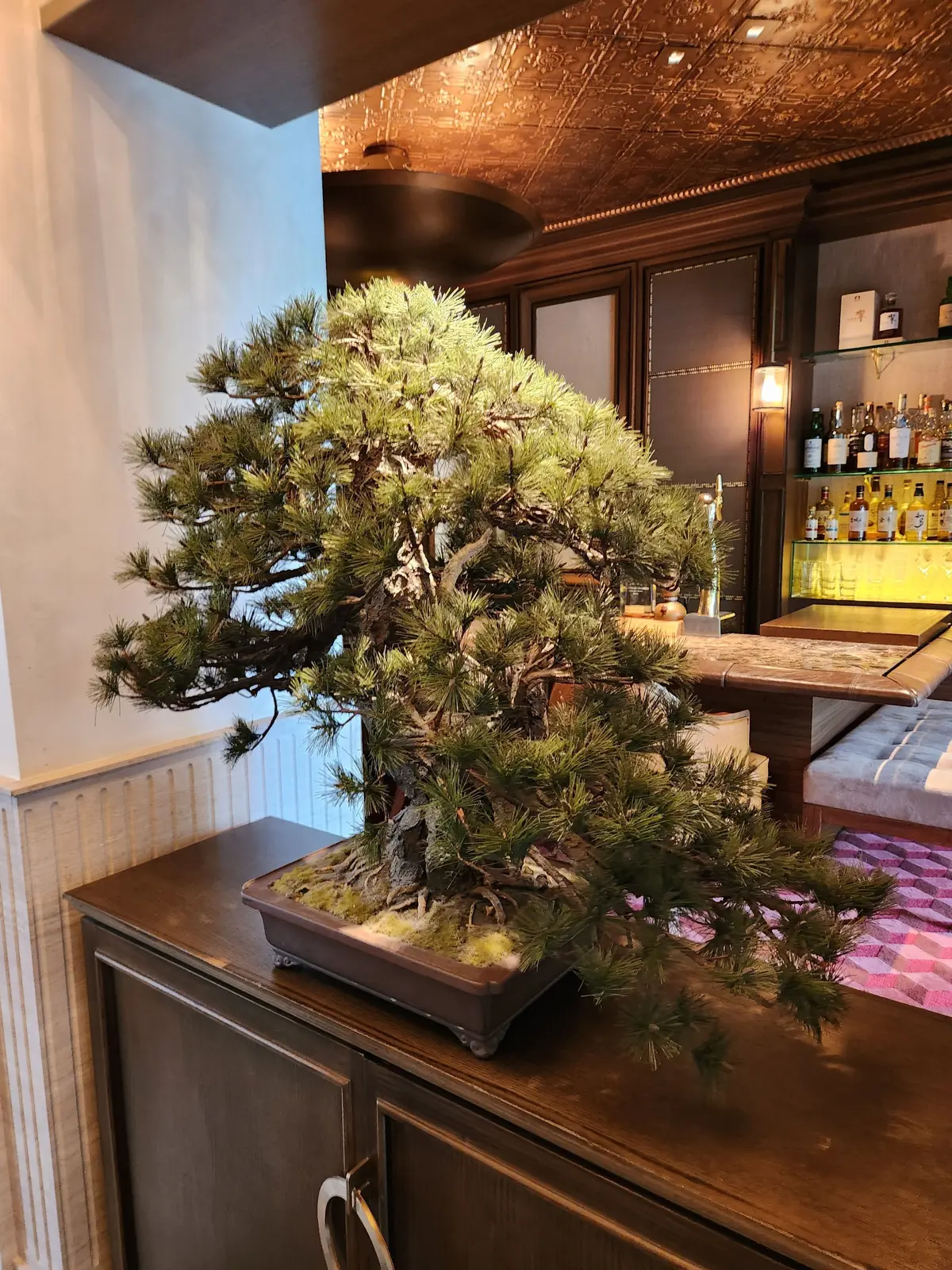 ボニーの木が木製の机の上に置かれ、背景にはバーカウンターとアルコールボトルが並ぶ高級な内装