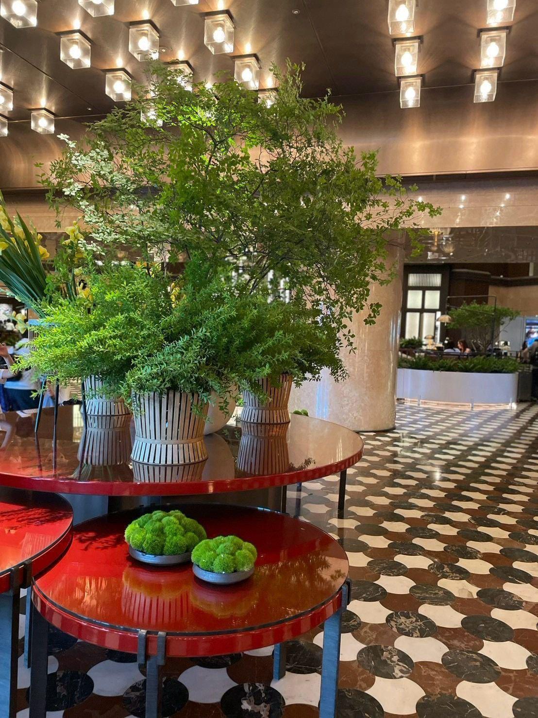 赤色の丸いテーブルに植物の装飾が置かれたホテルのロビー。天井には照明が並び、床は白と黒の幾何学模様。背景には窓と緑の植栽が見える。