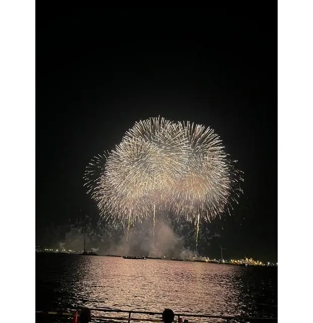 夜空に広がる大輪の白い花火。水面には光が反射し、遠くに街の灯りが見える。