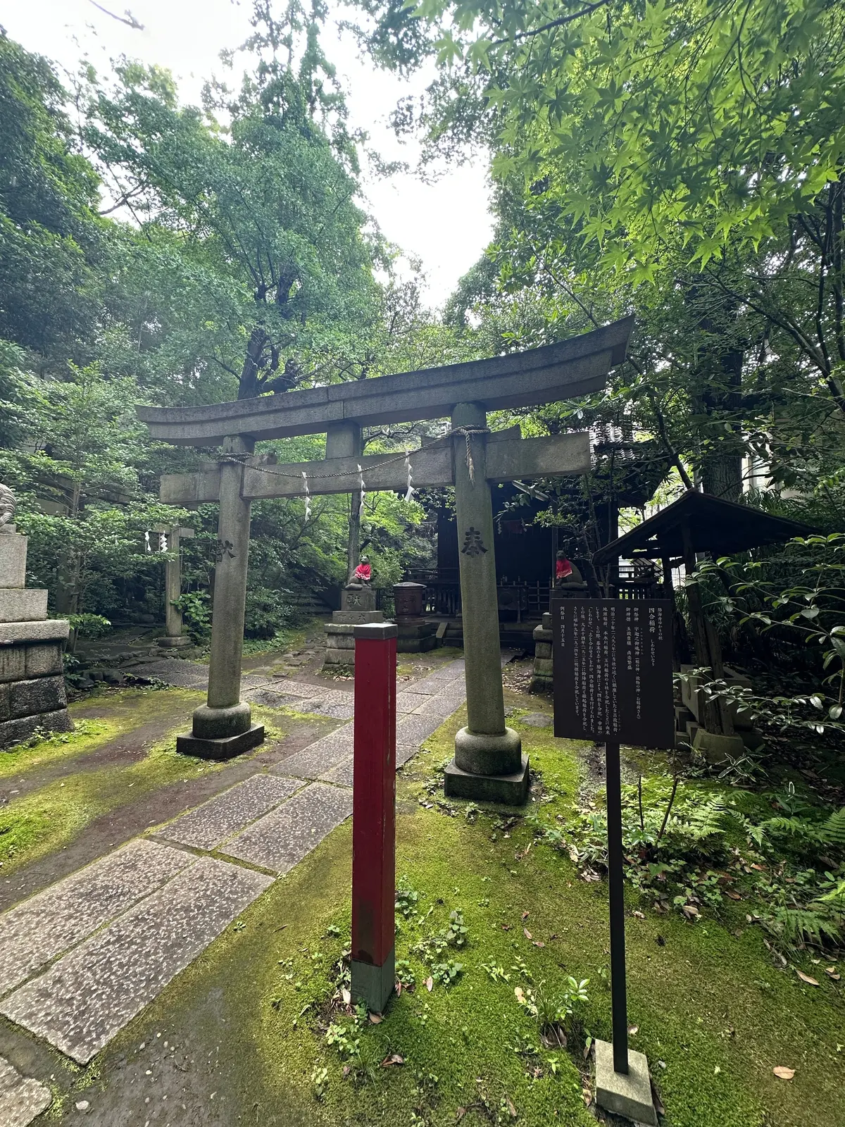 石造りの鳥居が緑豊かな庭園に立ち、苔むした石の道が通る静かな神社。