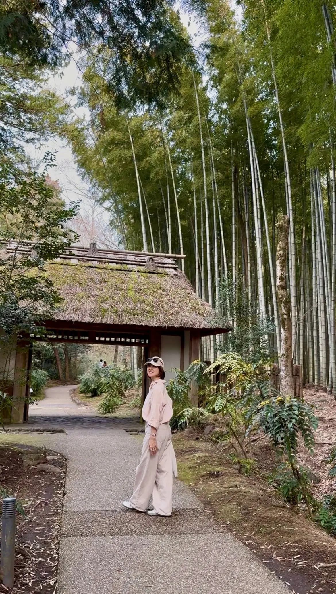 しだれ桜ととらやのお菓子♡の画像_4