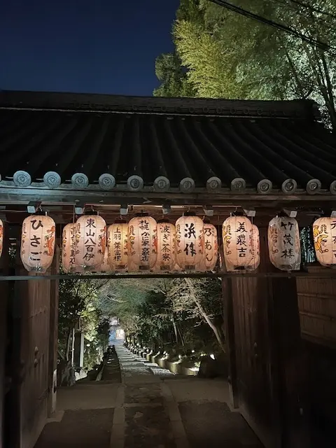 母との京都旅行　高台寺のライトアップが素の画像_9