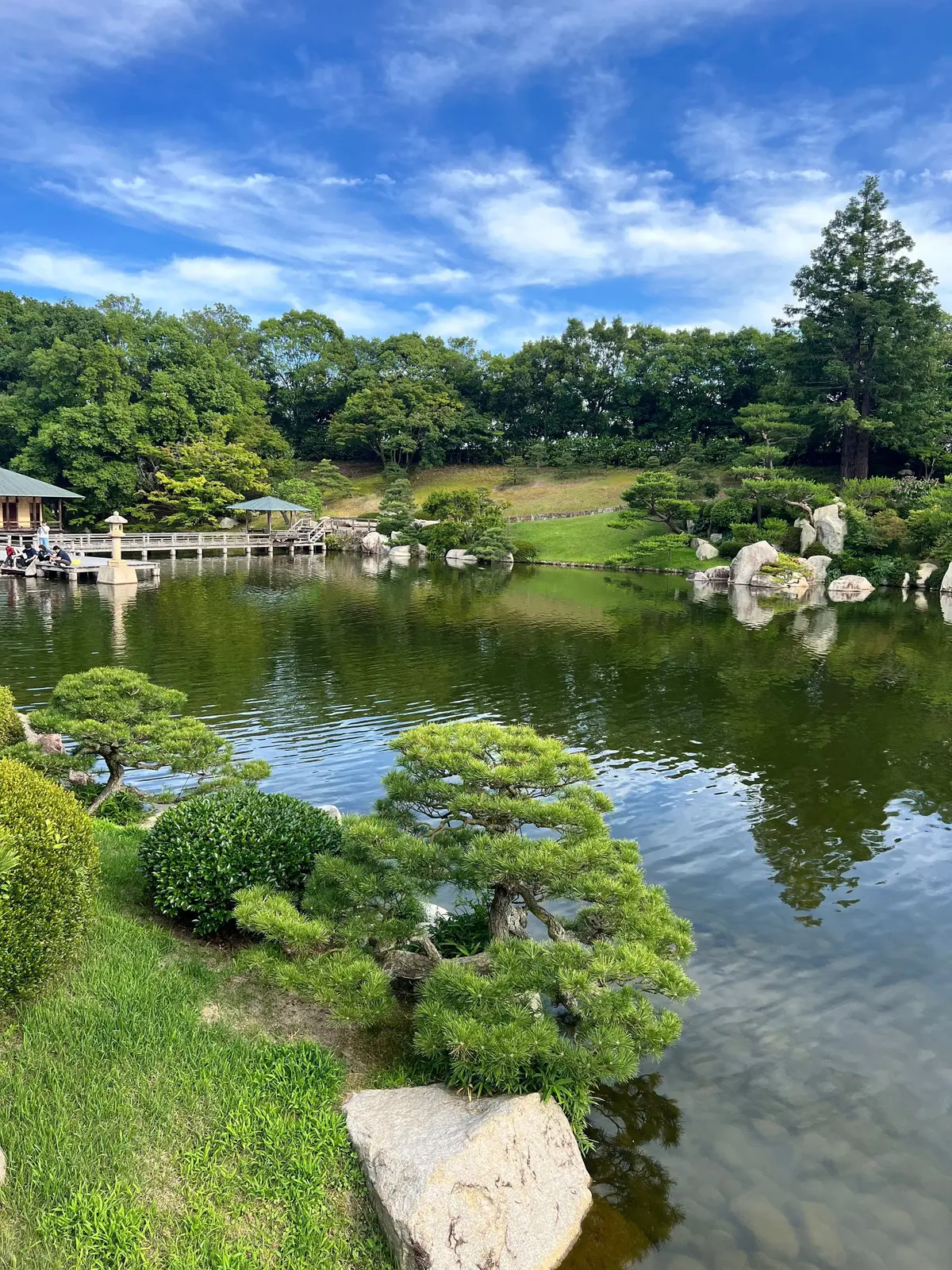 静かな池の周りに盆栽と岩が配置された日本庭園