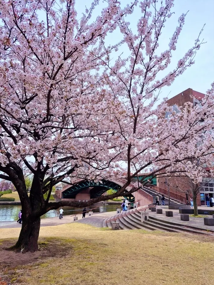 【富山・春旅】Vol.2 「世界一美しいの画像_4