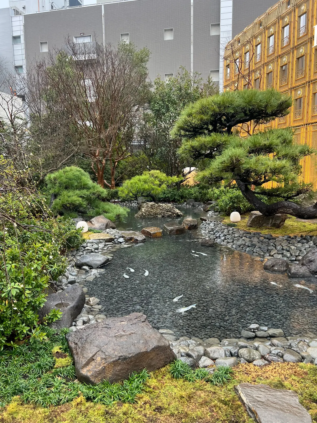 ディオール バンブー パビリオンへ…。カの画像_3