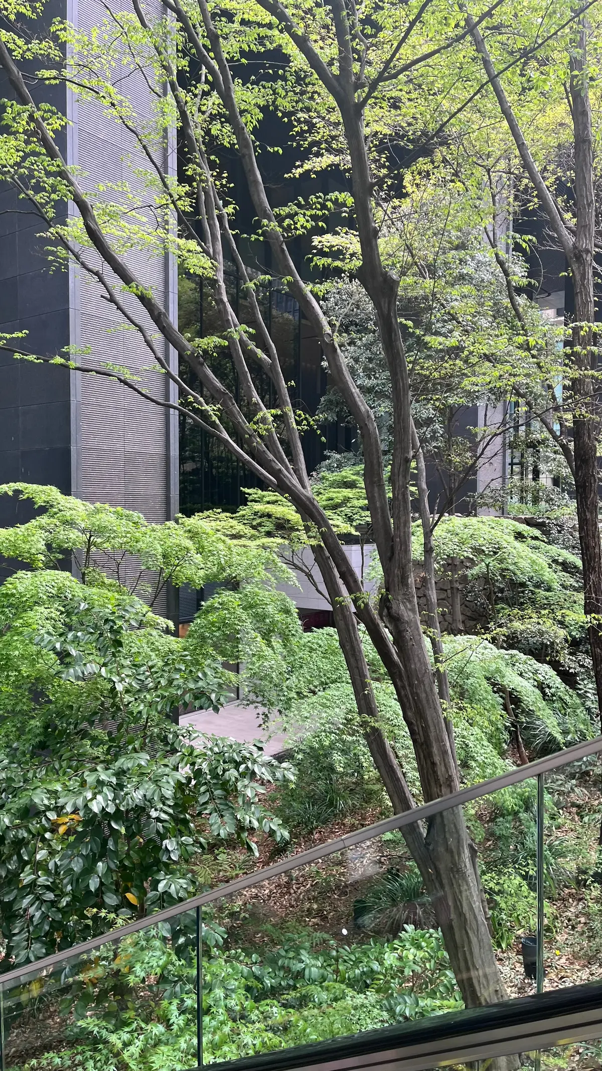 アマン東京【アルヴァ】へ✨初夏のホテルラの画像_4