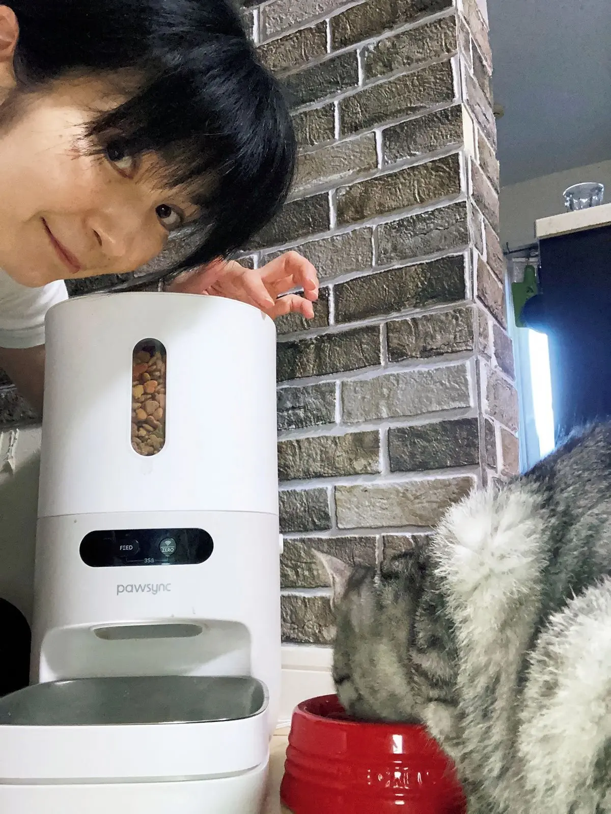 共働きで猫3匹。自動の給餌器やトイレが 便利（Maiさん）