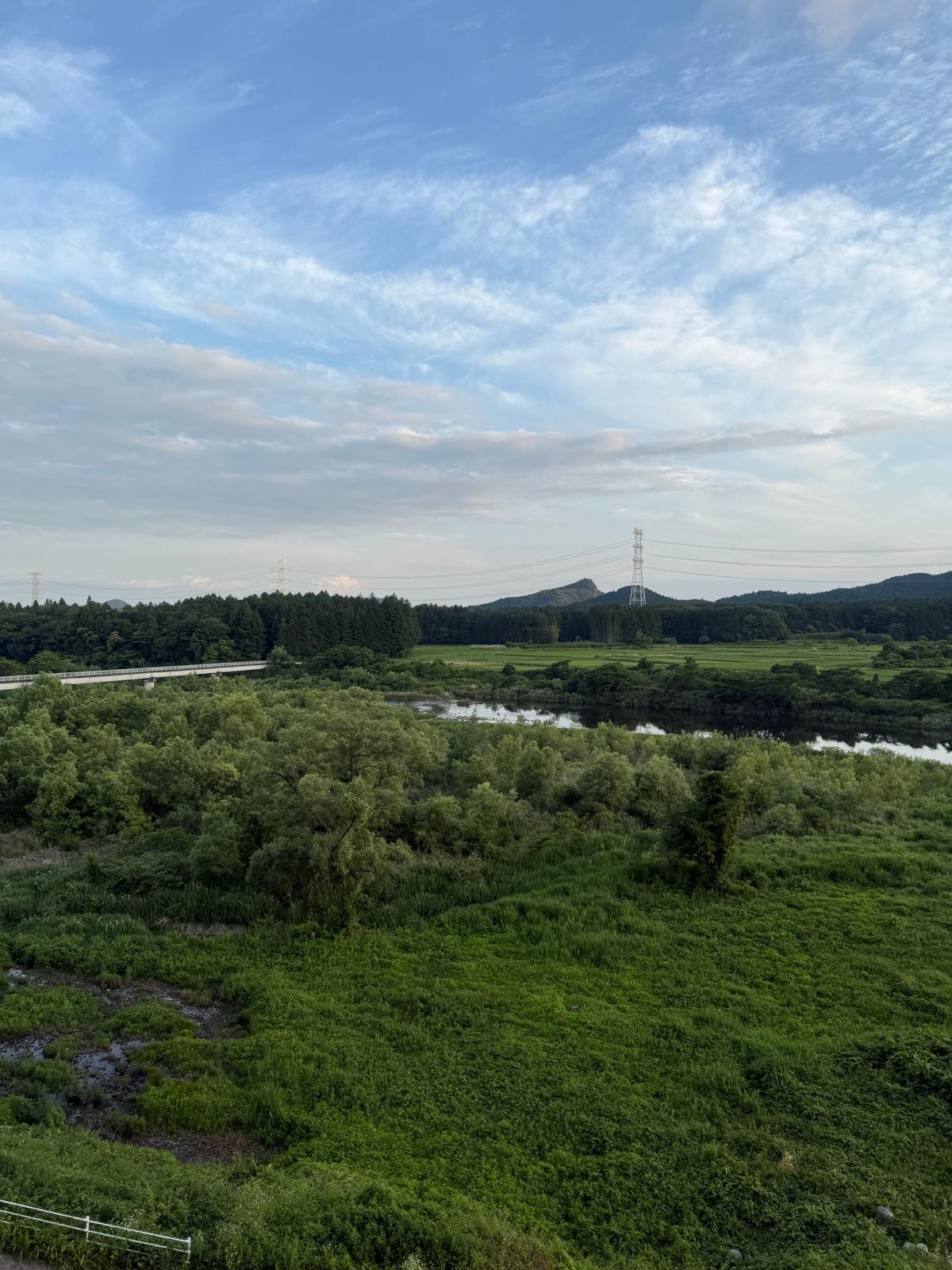 河川沿いの緑豊かな湿地、遠くに山と電柱が広がる田園風景