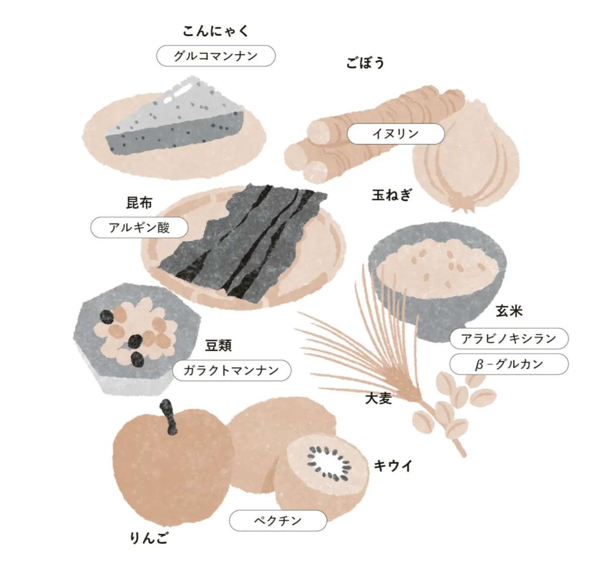 まずは、発酵性食物繊維を意識して。40代・50代の腸内環境を根本から立て直す「新・腸活」５つの心得