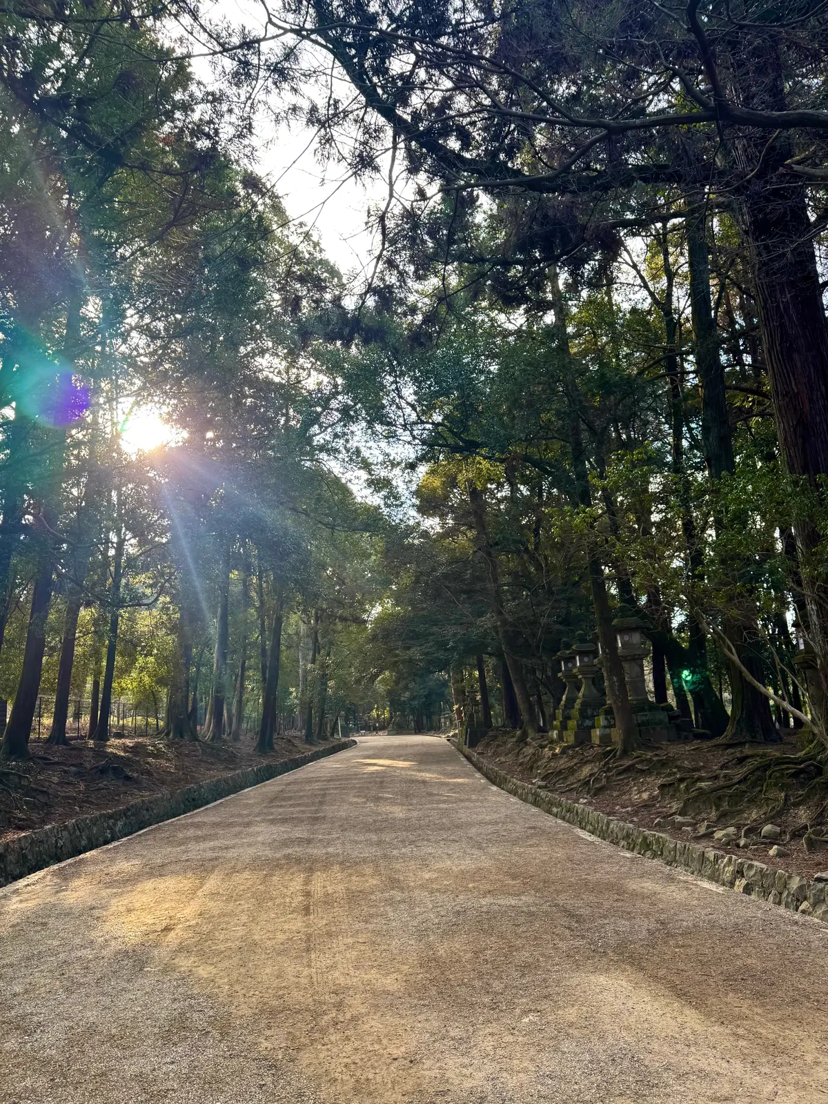 美味いもん＆御朱印を求めて母娘弾丸2人旅の画像_5