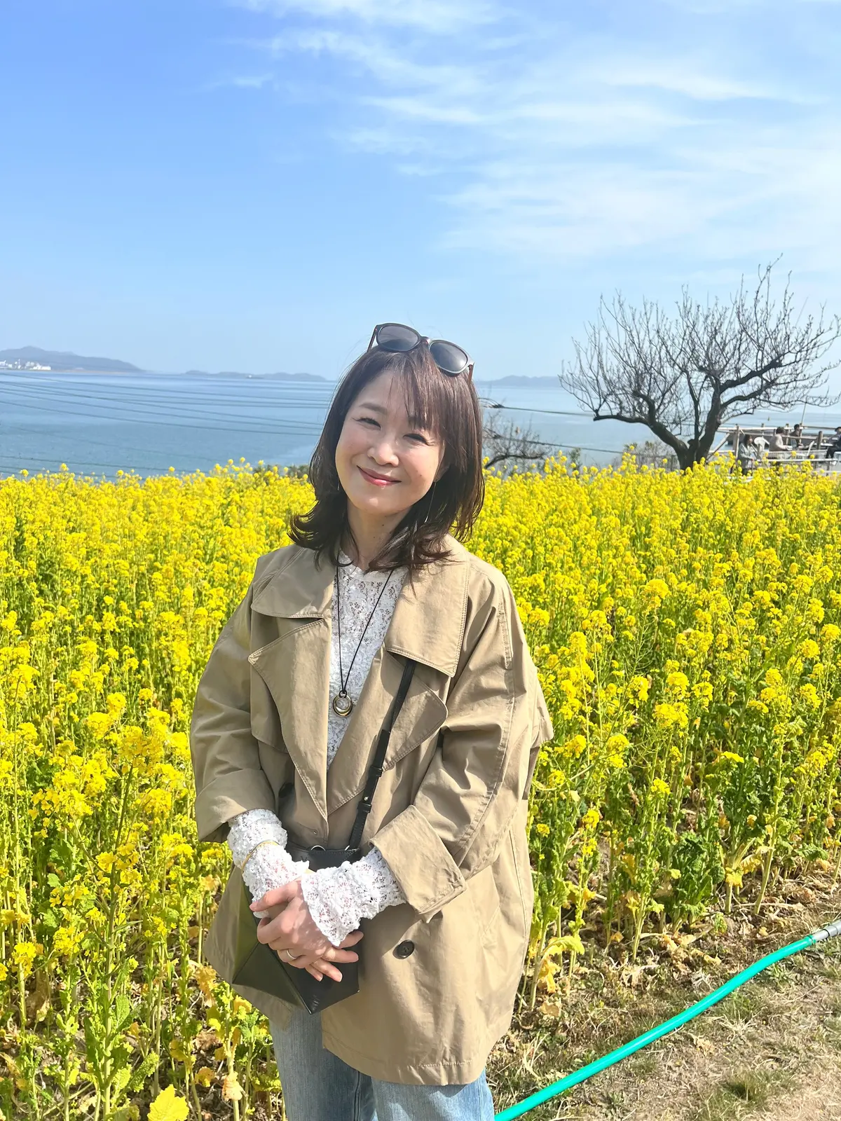 広島鞆の浦さんぽ 〜鞆・町並ひな祭〜の画像_3