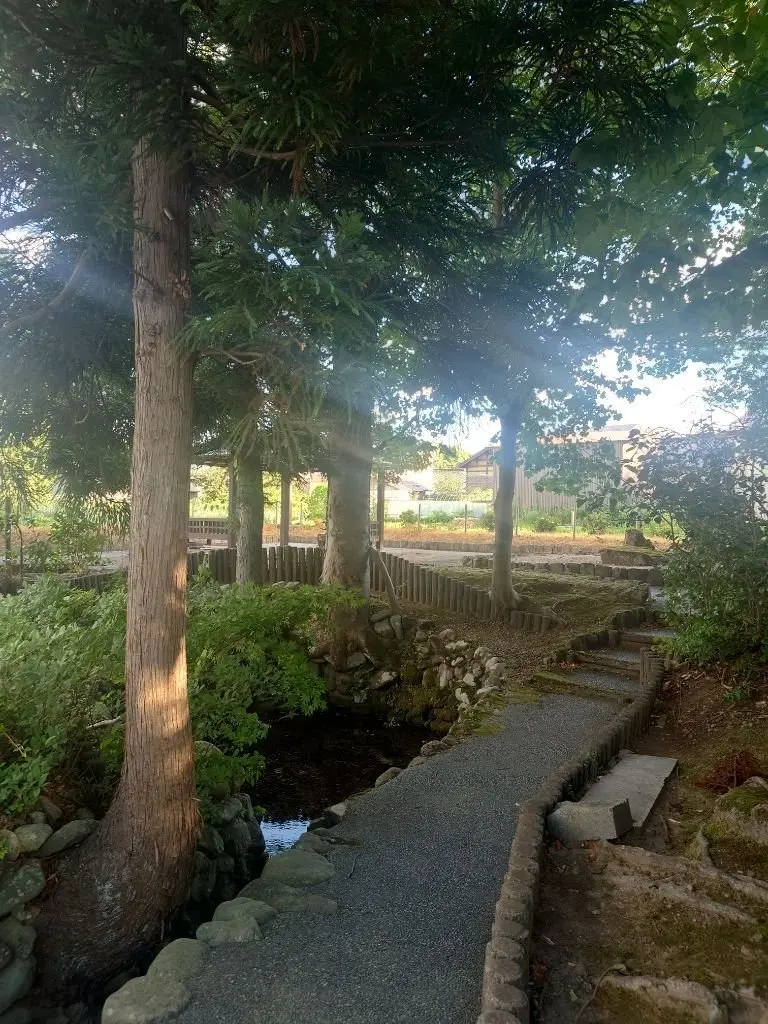 小川沿いの石畳の道。木々の間から光が差し込み、緑豊かな風景が広がる。手すりの向こうには住宅が見える。