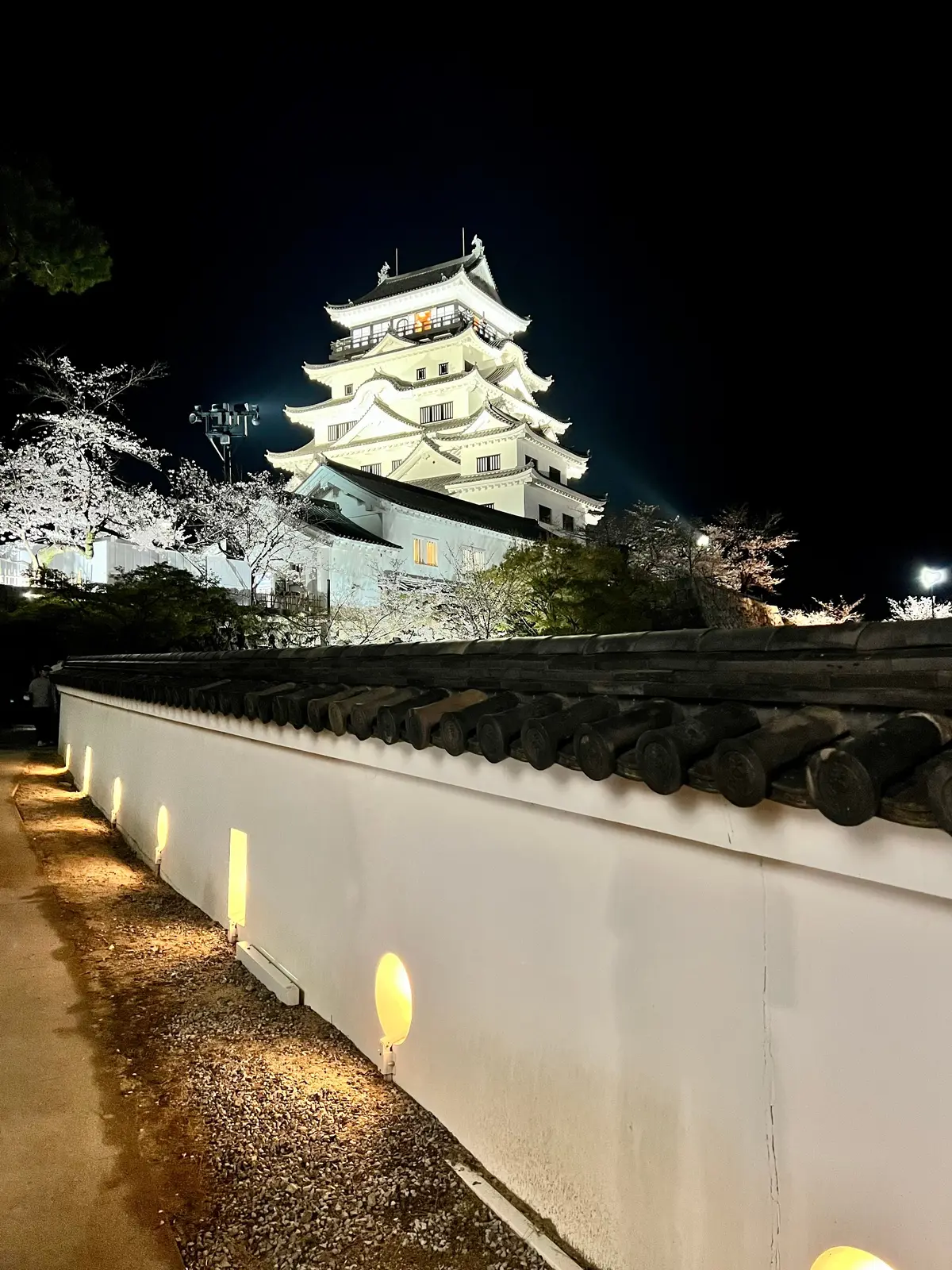 福山城の夜桜と絶品尾道ラーメンの画像_3