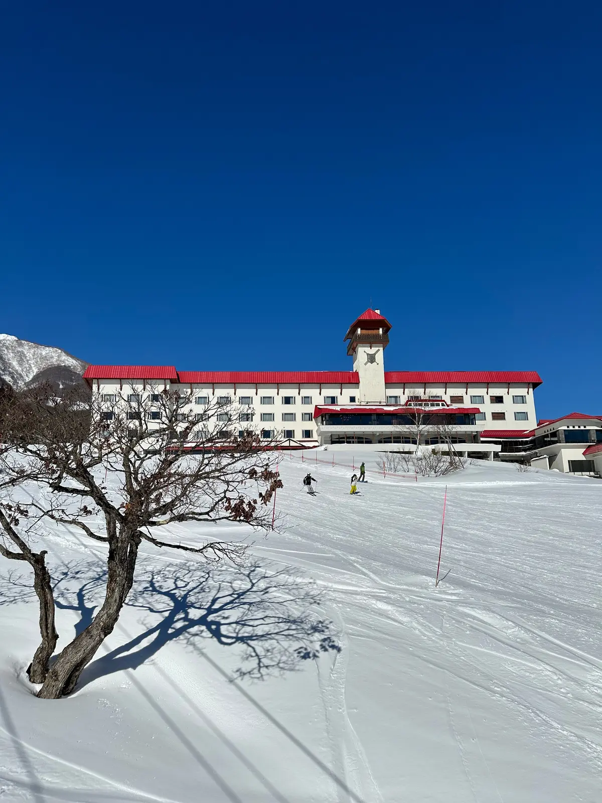 客室露天風呂付きのお部屋で、スキーをするの画像_2