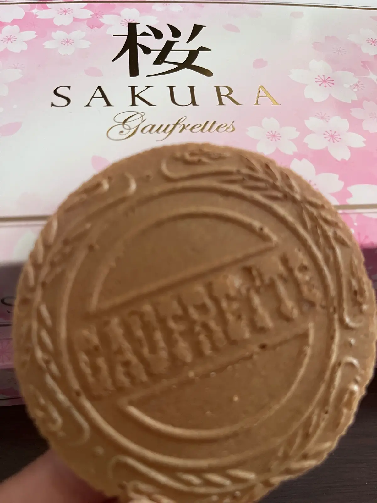 近づく桜の季節の画像_8