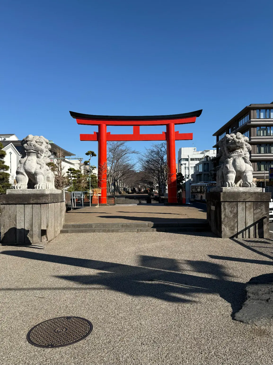 鎌倉　鶴岡八幡宮　参道