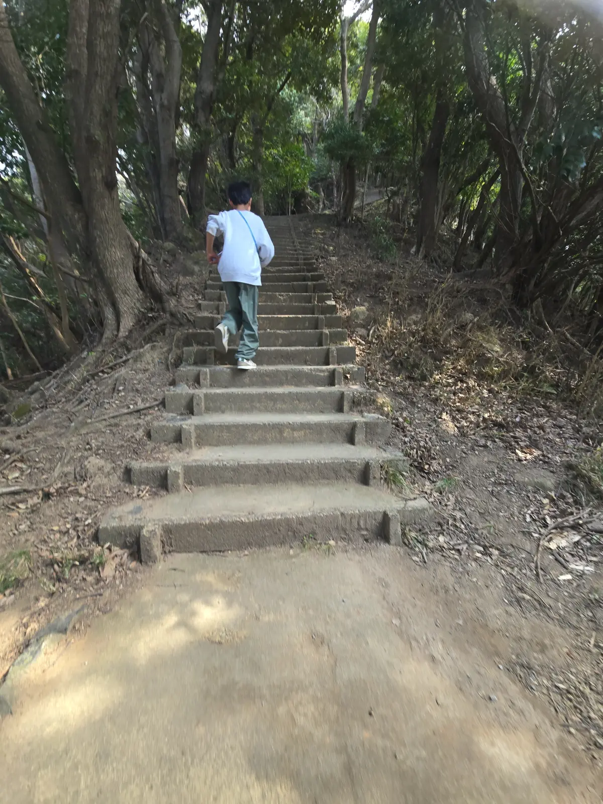 早春の房総半島鉄道旅 前編 目指せ鋸山!の画像_16