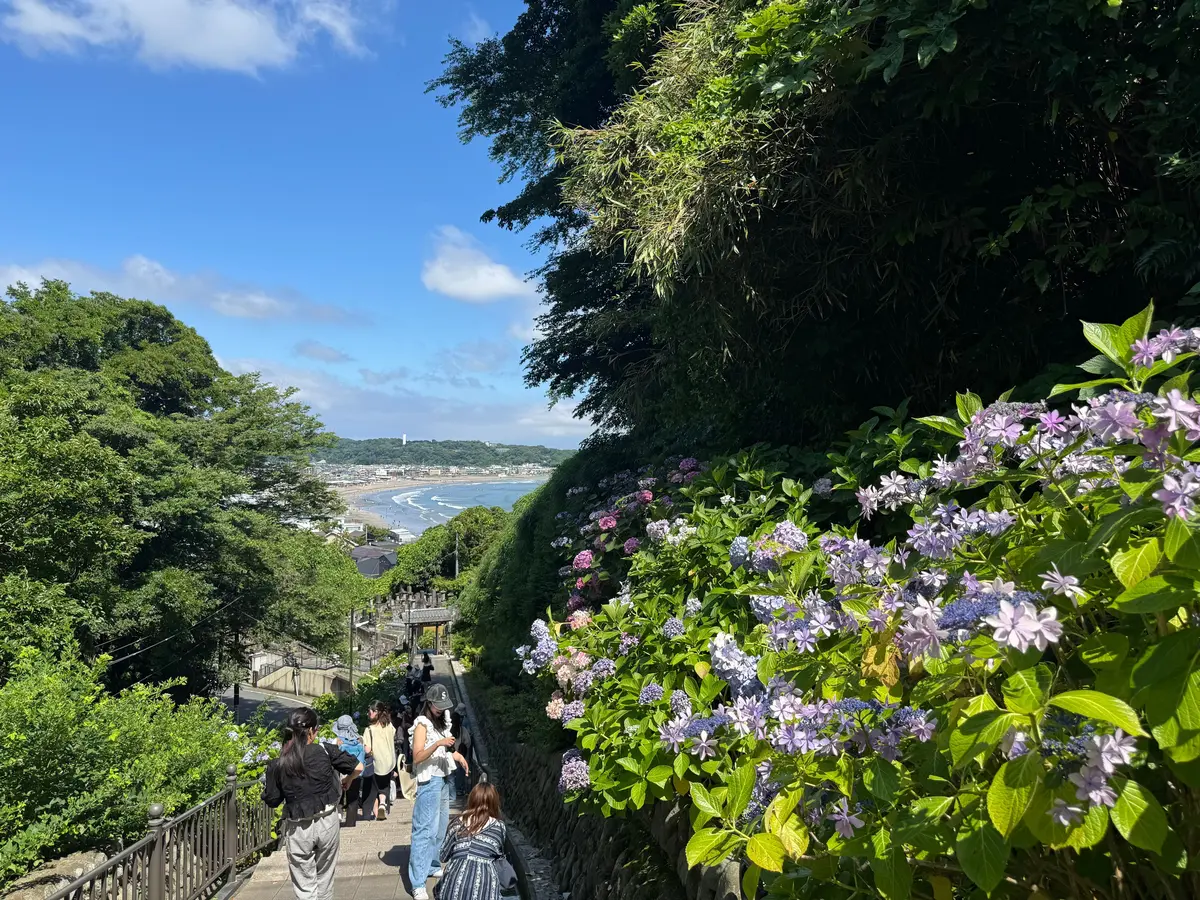 石段を登る人々、紫の花が咲く緑豊かな壁、海と町が見える景色