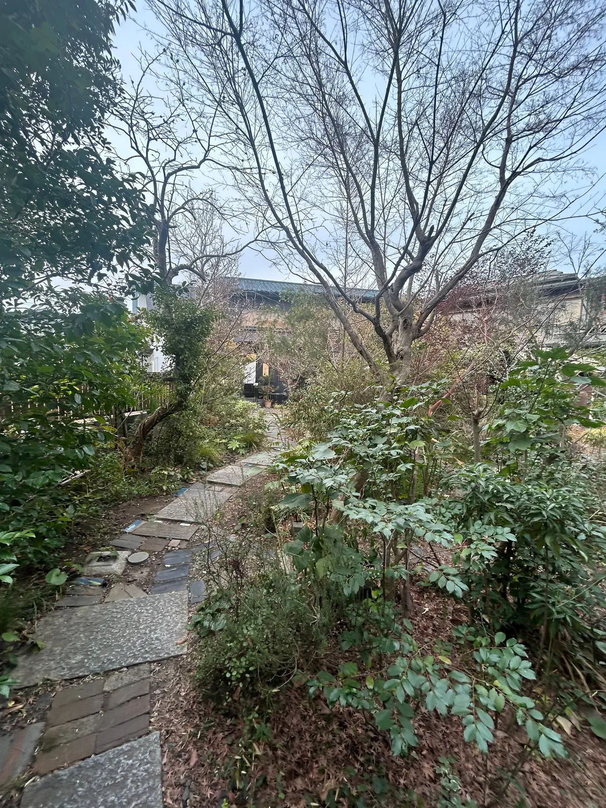 鎌倉「空花」鎌倉ランチ　古民家　穴場　ご褒美　大人ランチ　和食