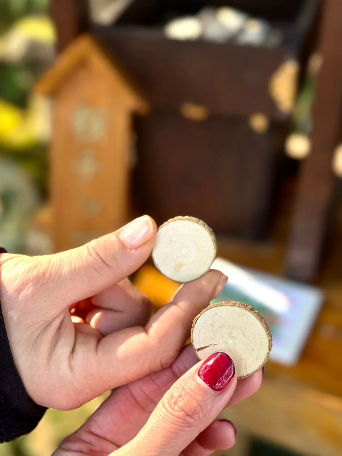 202601 アカオフォレスト 08