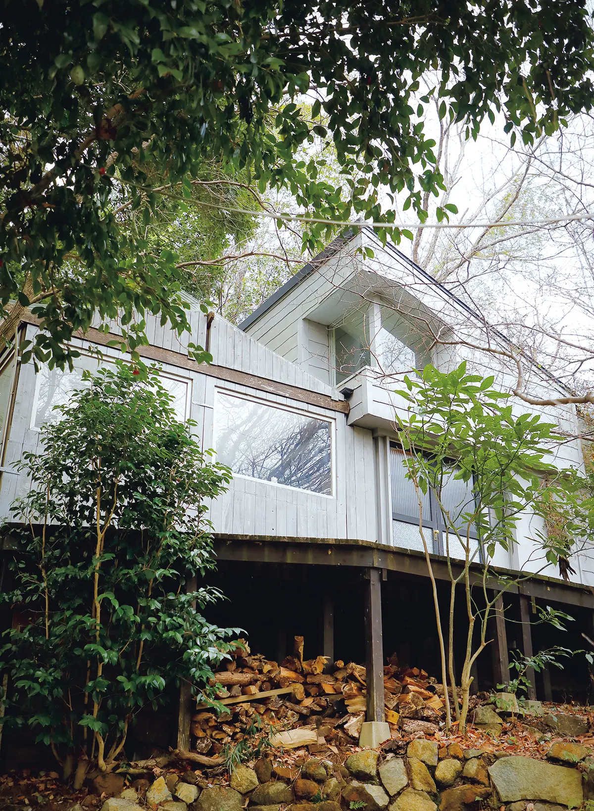 もとはバレリーナのアトリエだ った建物は窓が多く、気持ちがい い。4月からはウッドデッキでも 食事を楽しめる