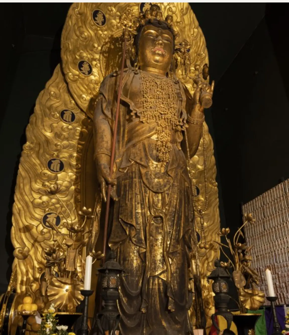 梅が見頃【鎌倉の長谷寺】と古民家カフェへの画像_8