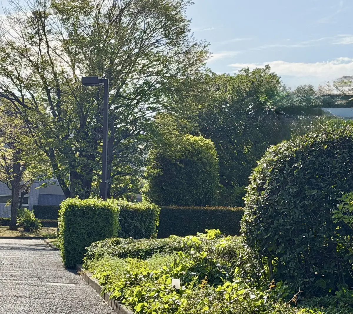 taku a walk 散歩　気持ちいい場所