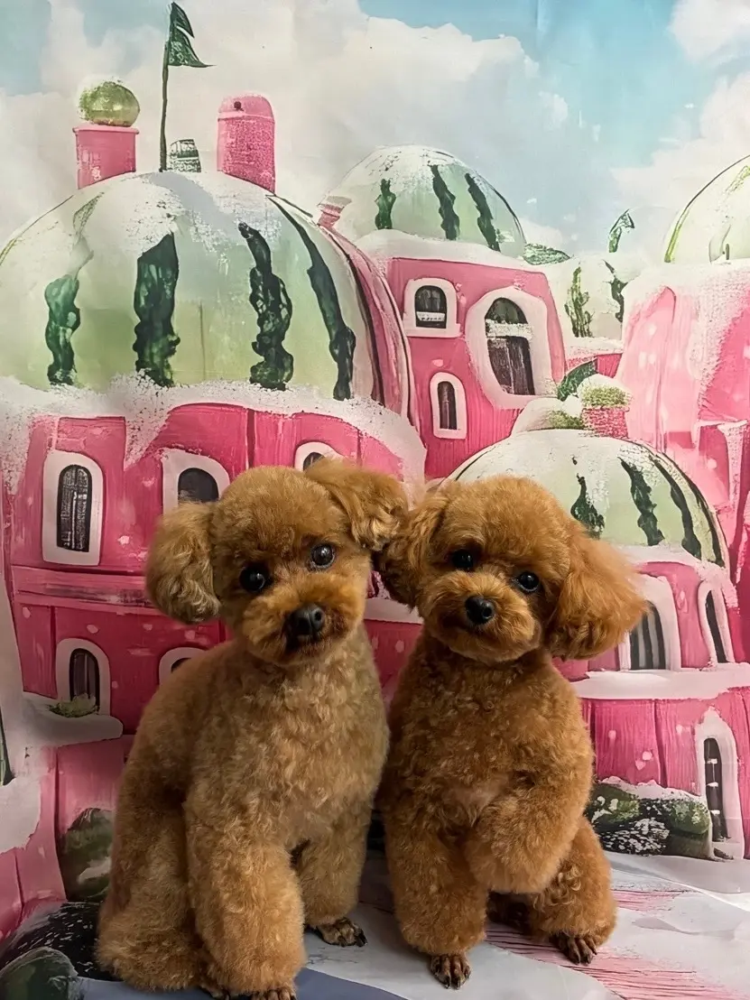 100回目のピラティスを節目に、新しい一の画像_1